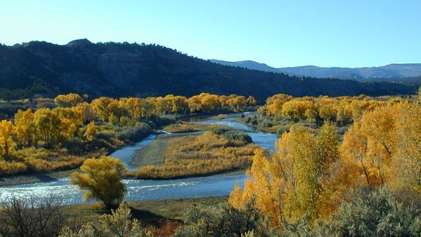 Animas River