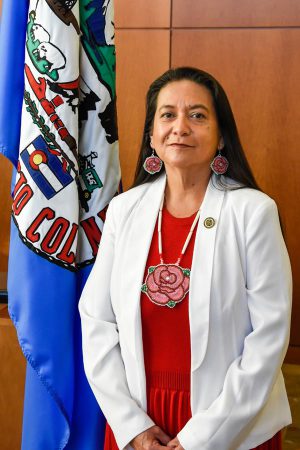 Christine Sage, Chairman