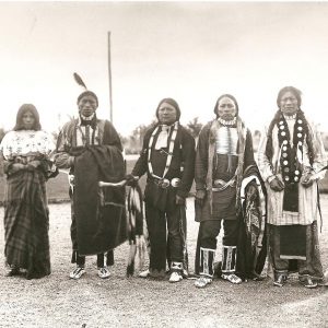 Ute Tribe tribal government