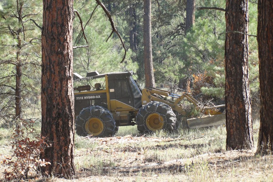 Forest Management
