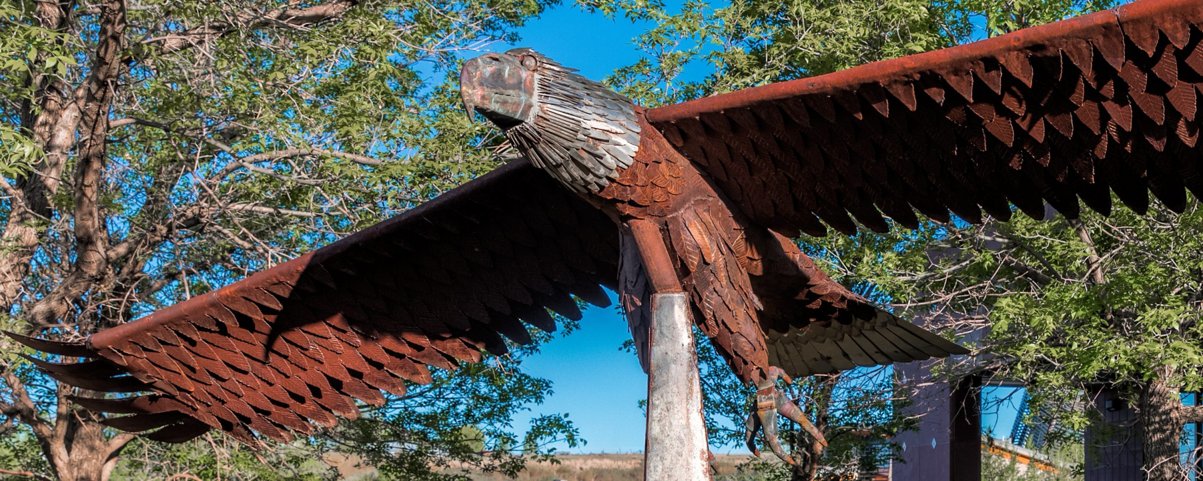 image of eagle sculpture with trees