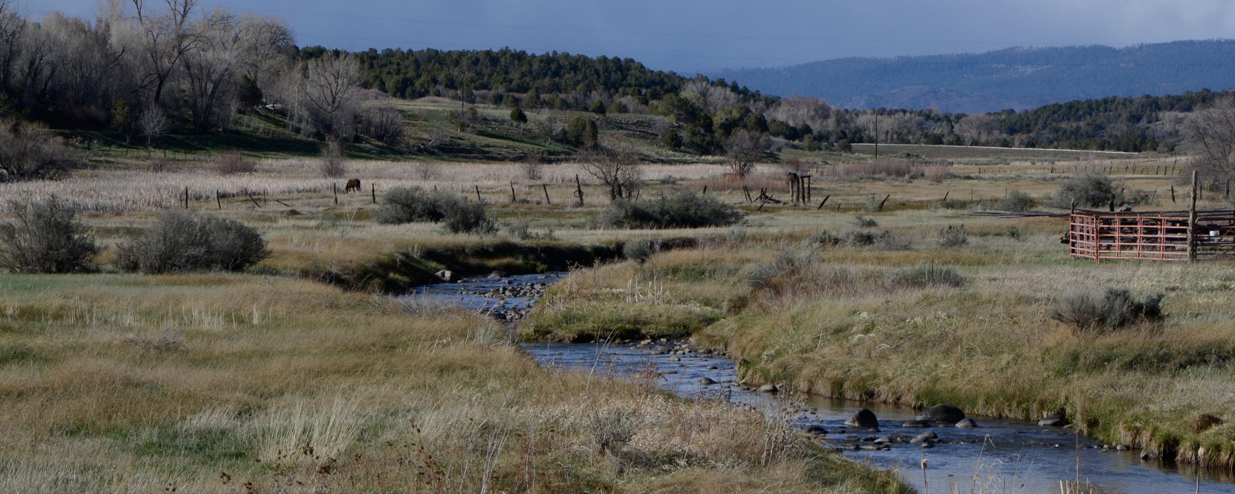 image of stream in field