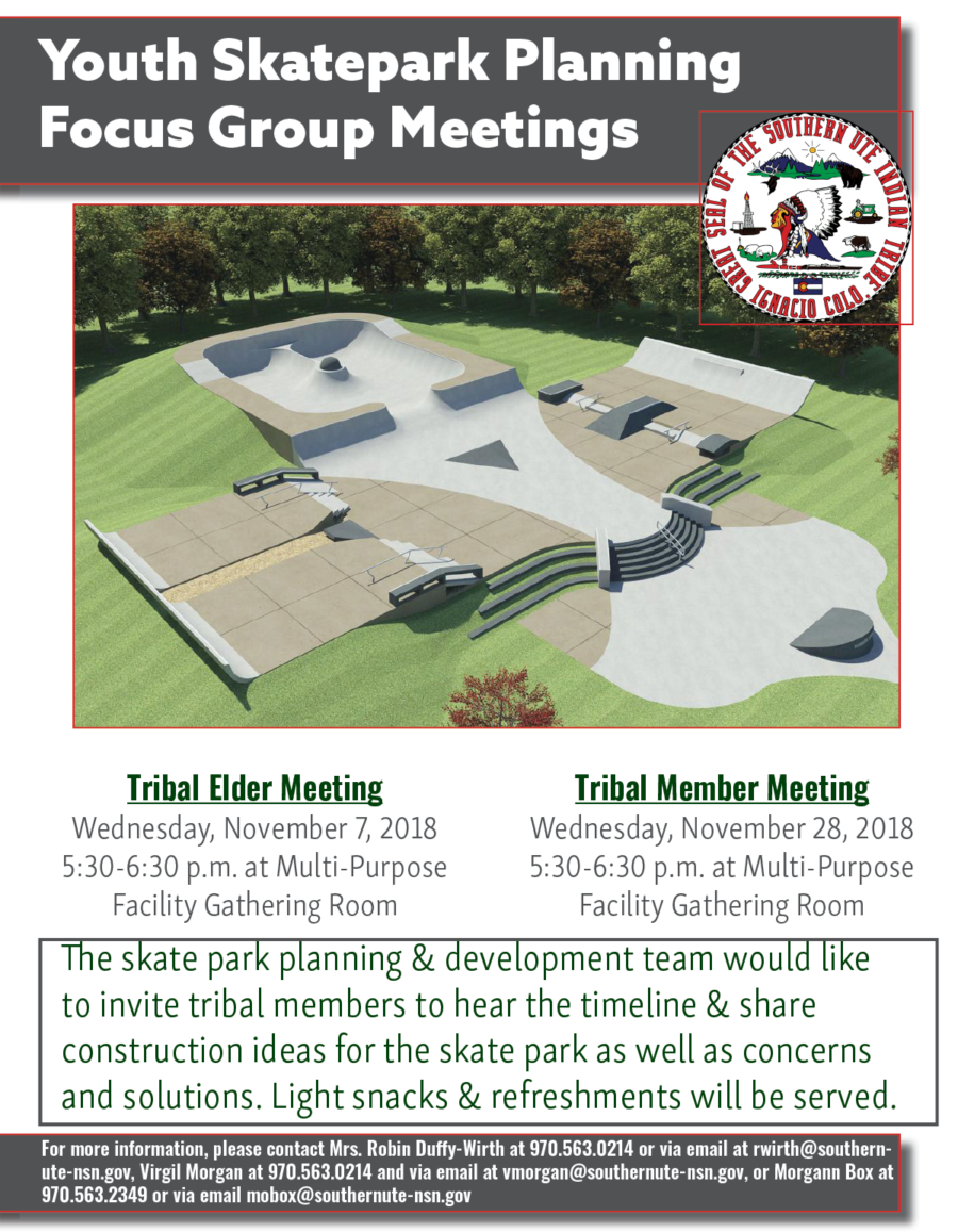 skatepark design flyer