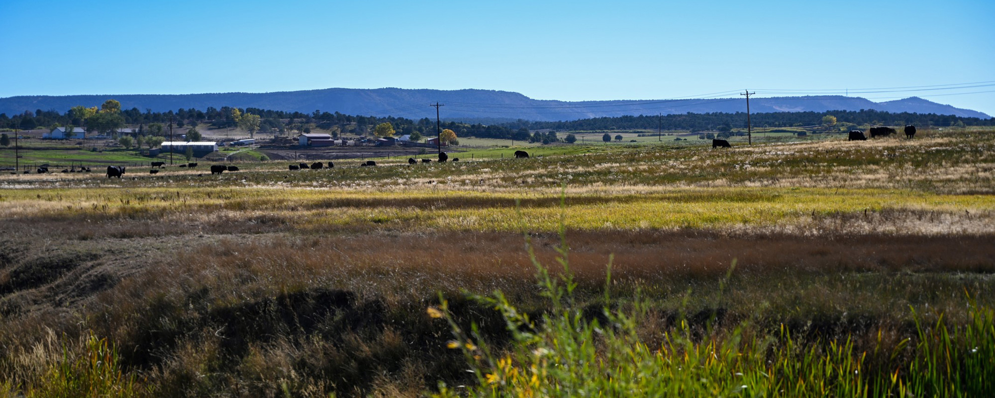 Southern Ute Reservation