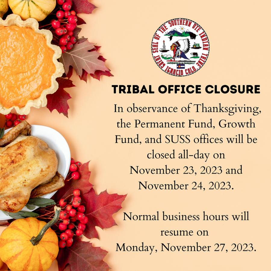 Thanksgiving hours