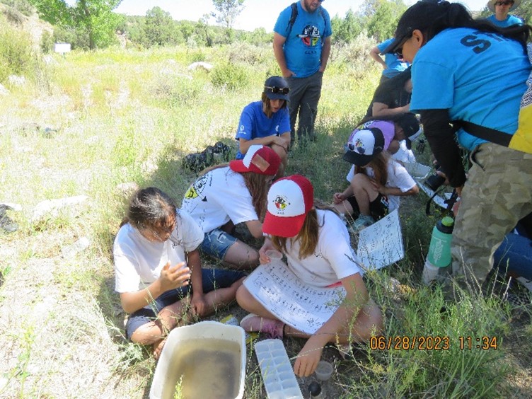 Benthic macroinvertebrates activity - children in meadow
