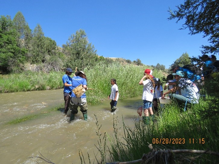Food Chain Activity wading in stream near Scotts Pond