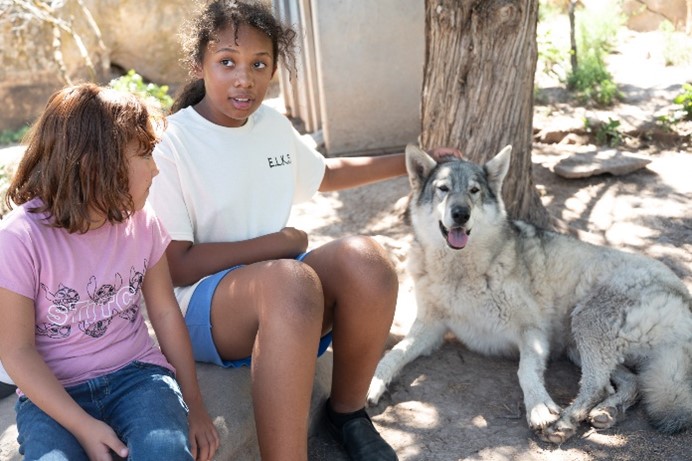 Wolfwood Sanctuary Tour