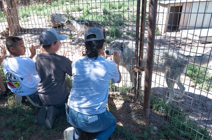 Wolfwood Sanctuary Tour