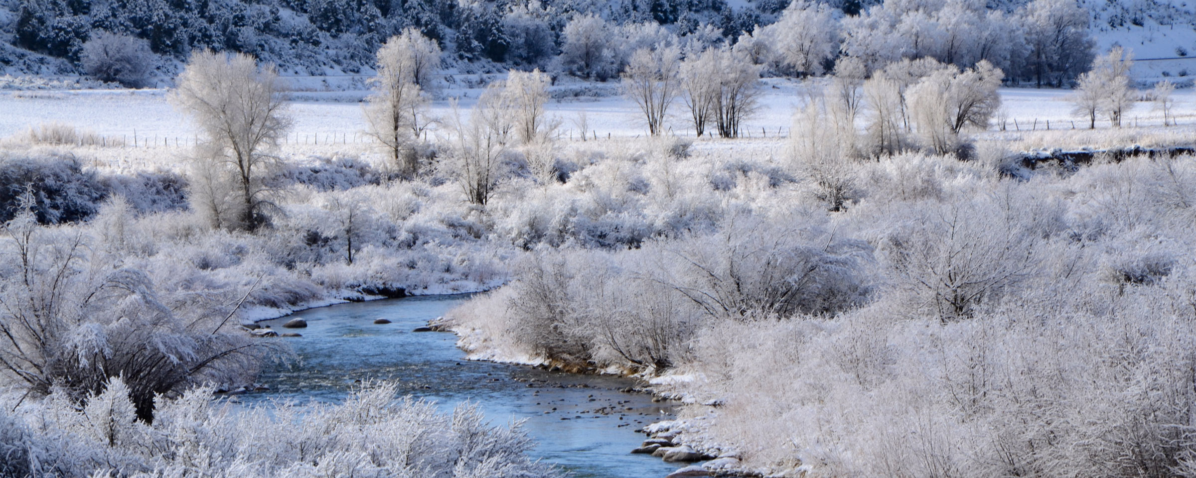 Pine River in winter - a season to cherish loved ones and neighbors.