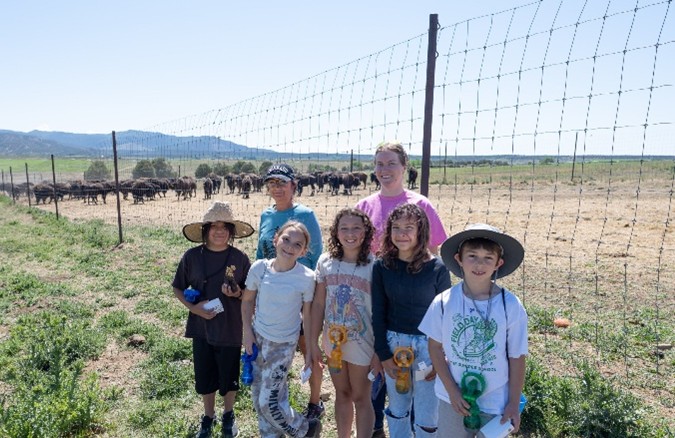 SESSION 1: BISON HERD VISIT | BY DIVINE WINDY BOY