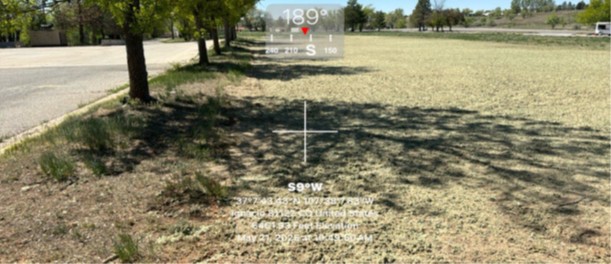 Old Casino Post Remediation (Reseeding)